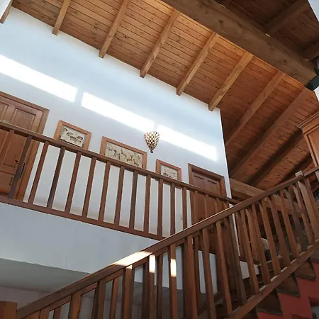 La Casa de los Gatos-3